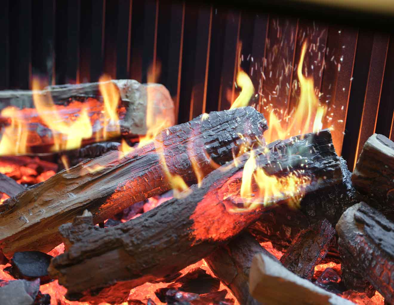 Solus iX Electric Fire